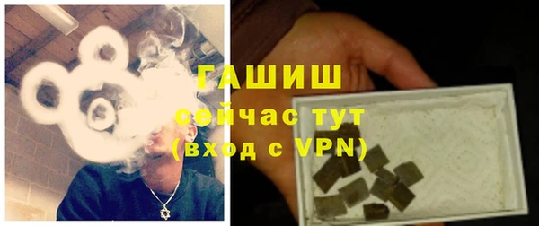 прущие грибы Михайловка