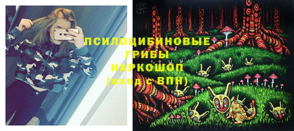 прущие грибы Михайловка