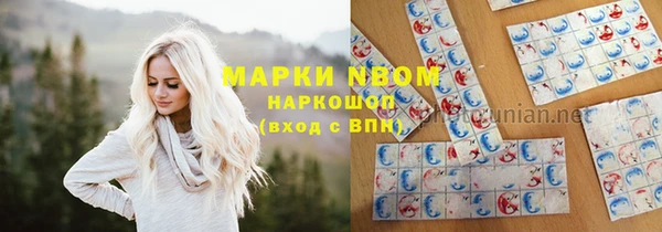 первитин Михайлов