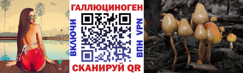 Псилоцибиновые грибы ЛСД  Трубчевск 